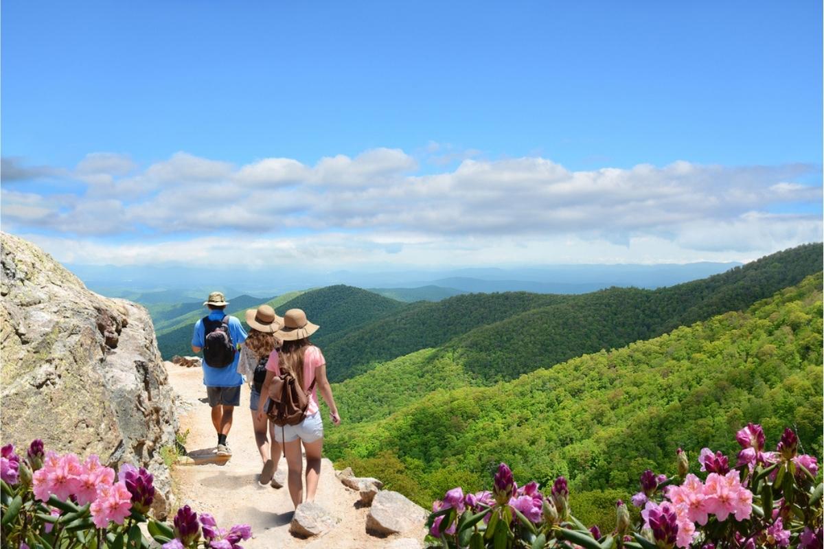 A man in a blue shirt, woman in white shirt, and another woman in a pink shirt, all wearing sun hats and backpacks, hiking a dusty mountain trail with large rock to the left side, green forested hills to the right, pink flowers behind them and blue sky with white clouds overhead