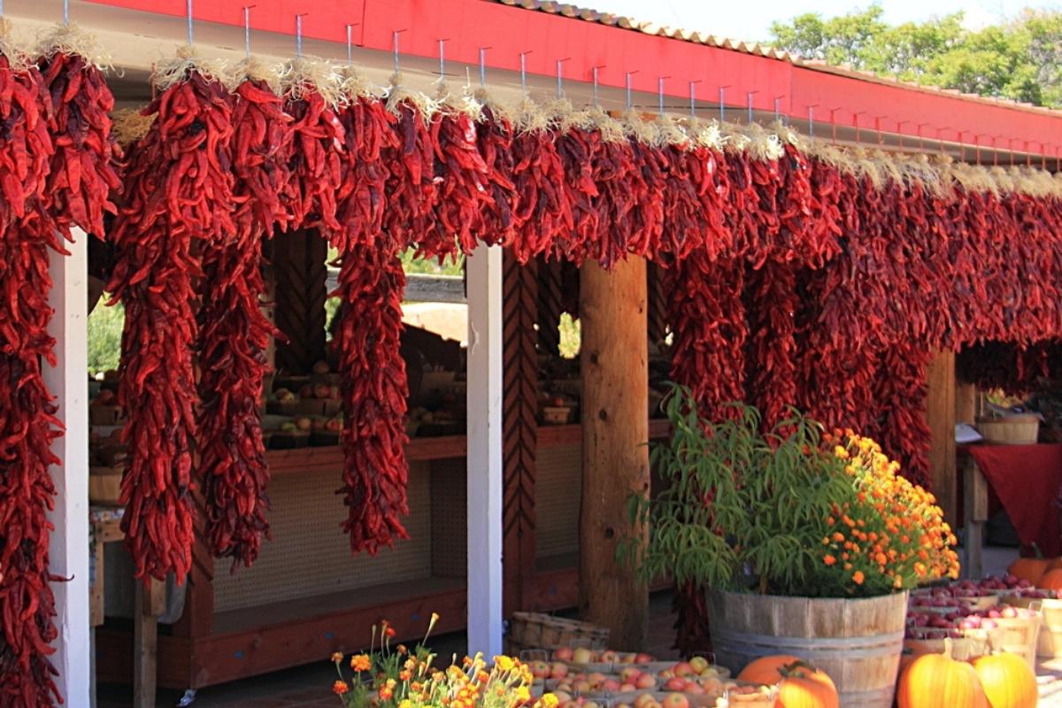 A row of red chilis bunched together and hanging from the ceiling of an outdoor market, with apples, pumpkins, and flowers in the foreground