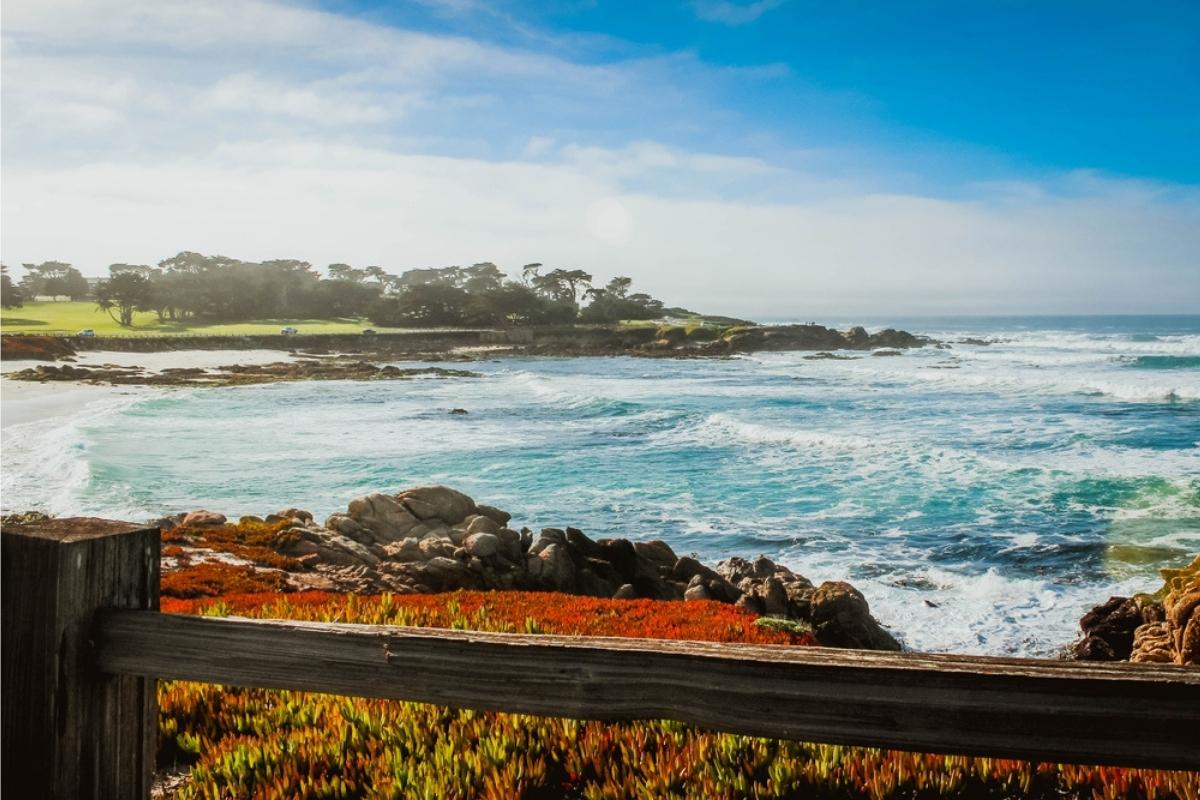 View of blue water with small white waves from 17 Mile Drive in Monterey. There's a wooden fence railing in foreground, in front of red flowers and rocky shoreline. A stretch of green grass and trees are in the distant background, and blue sky with white clouds overhead.