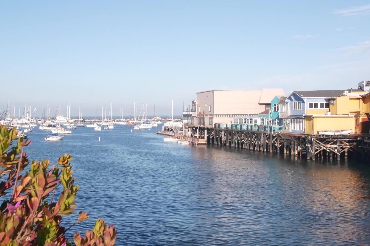 Blue water of Monterey Bay, with white boats in the background, a green and red plant in the bottom left foreground, a line of colorful buildings on wooden pillars above the water to the right, and light blue sky overhead.