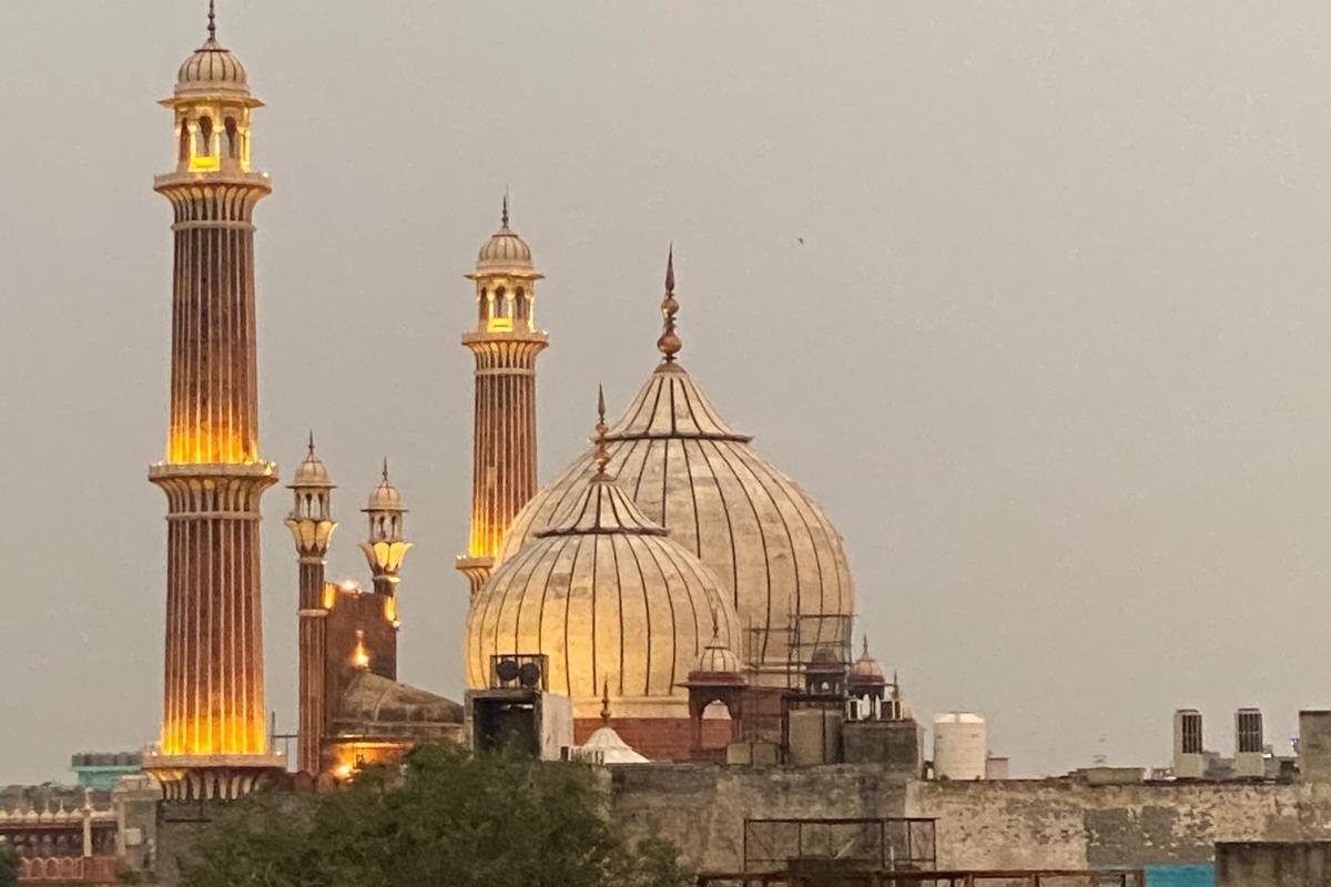 Skyline of Delhi with the Haveli Dharampura in background, other buildings and green tree tops in foreground. The sky is a flat gray color, but the domes and spires of the Haveli are glowing gold.
