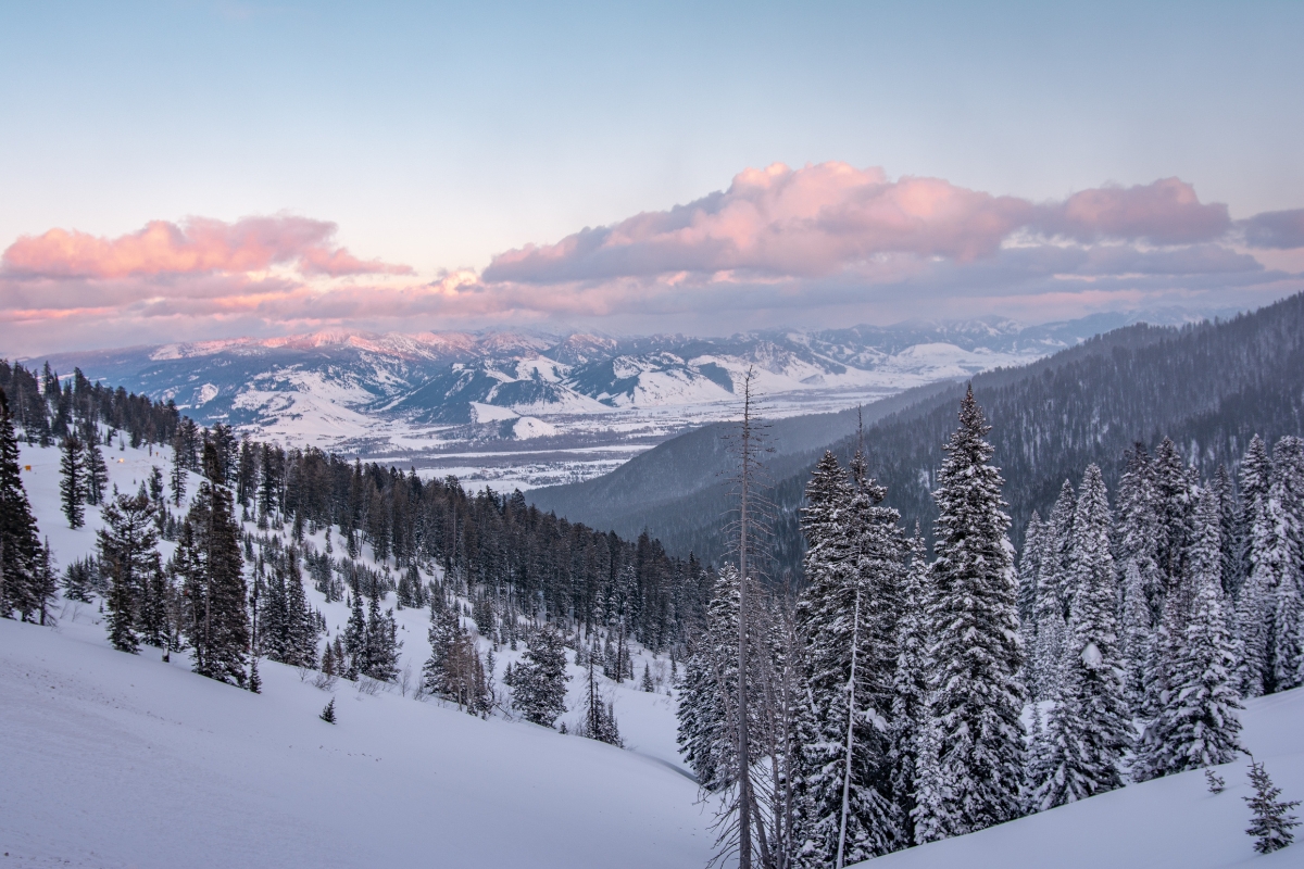 Snowy mountain and snow-covered evergreens landscape from Jackson Hole with more mountains in the far distance and light blue sky with pink and white sunrise clouds overhead.