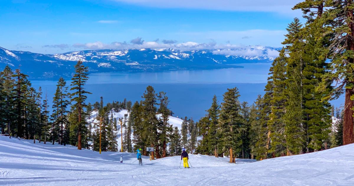 Skiers on a snowy mountain slope lined with tall evergreens, with the blue water of Lake Tahoe and other mountains in the distance and blue sky with white clouds overhead
